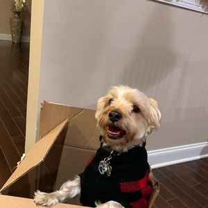 Meet your Posher, Mel